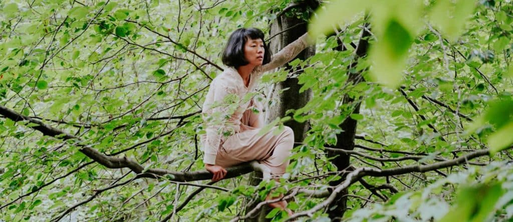 femme arbre animation nature